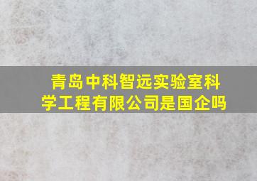 青岛中科智远实验室科学工程有限公司是国企吗