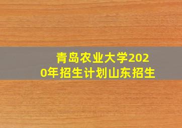 青岛农业大学2020年招生计划山东招生