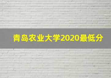 青岛农业大学2020最低分