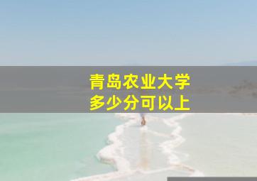 青岛农业大学多少分可以上