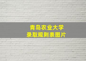 青岛农业大学录取规则表图片