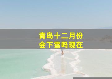 青岛十二月份会下雪吗现在