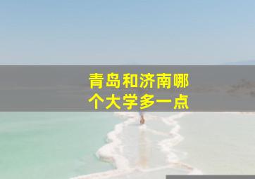 青岛和济南哪个大学多一点