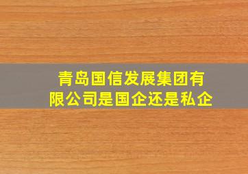 青岛国信发展集团有限公司是国企还是私企