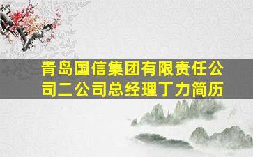 青岛国信集团有限责任公司二公司总经理丁力简历