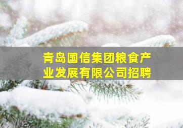 青岛国信集团粮食产业发展有限公司招聘