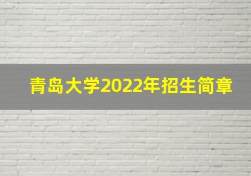 青岛大学2022年招生简章