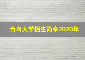 青岛大学招生简章2020年