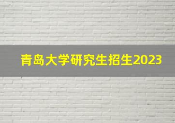 青岛大学研究生招生2023