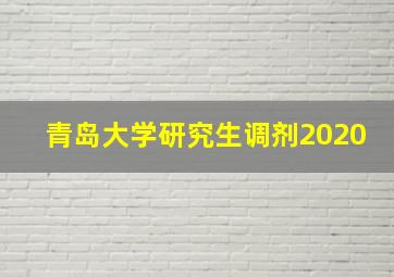 青岛大学研究生调剂2020