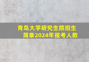 青岛大学研究生院招生简章2024年报考人数