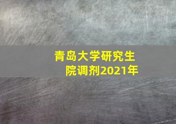 青岛大学研究生院调剂2021年