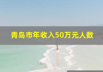 青岛市年收入50万元人数