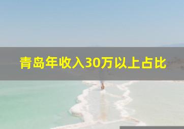 青岛年收入30万以上占比