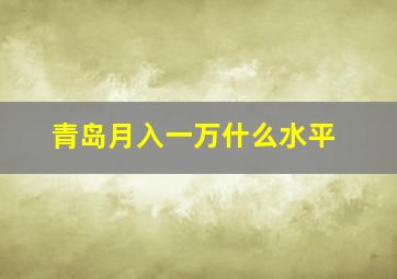 青岛月入一万什么水平