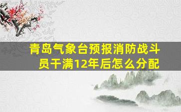 青岛气象台预报消防战斗员干满12年后怎么分配