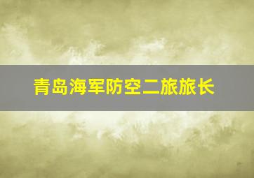 青岛海军防空二旅旅长