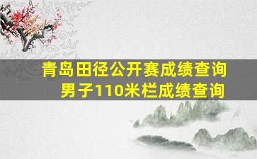 青岛田径公开赛成绩查询男子110米栏成绩查询