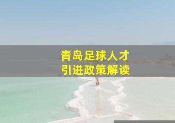 青岛足球人才引进政策解读