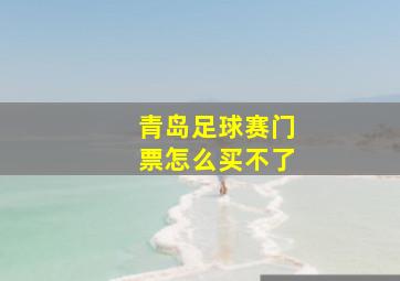 青岛足球赛门票怎么买不了