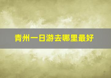 青州一日游去哪里最好