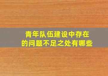 青年队伍建设中存在的问题不足之处有哪些