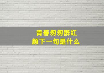 青春匆匆醉红颜下一句是什么