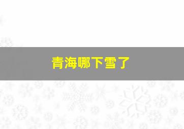 青海哪下雪了