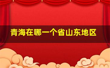 青海在哪一个省山东地区