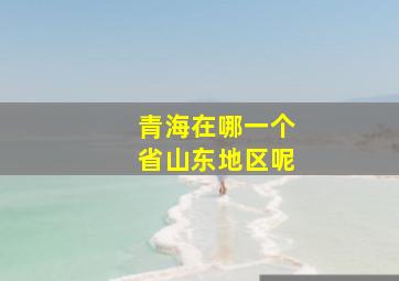 青海在哪一个省山东地区呢