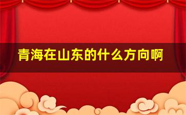 青海在山东的什么方向啊