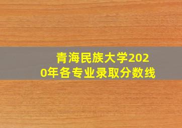 青海民族大学2020年各专业录取分数线