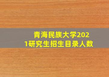 青海民族大学2021研究生招生目录人数