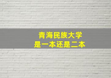 青海民族大学是一本还是二本