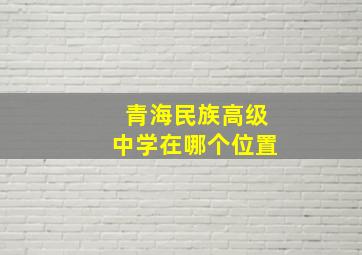 青海民族高级中学在哪个位置