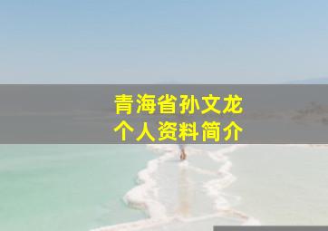 青海省孙文龙个人资料简介