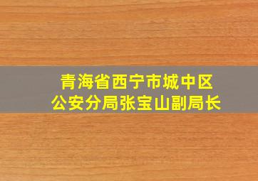 青海省西宁市城中区公安分局张宝山副局长