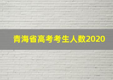 青海省高考考生人数2020