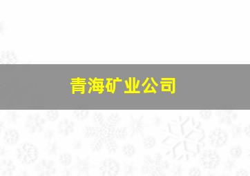 青海矿业公司