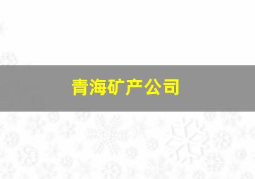 青海矿产公司