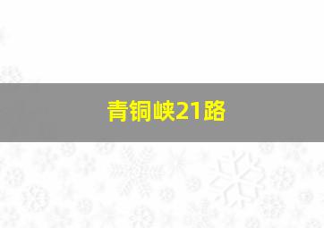 青铜峡21路