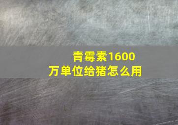 青霉素1600万单位给猪怎么用