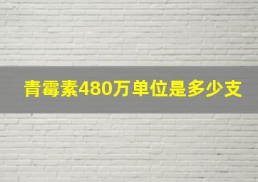 青霉素480万单位是多少支