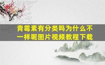 青霉素有分类吗为什么不一样呢图片视频教程下载