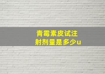 青霉素皮试注射剂量是多少u