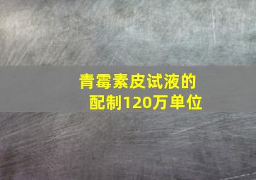 青霉素皮试液的配制120万单位