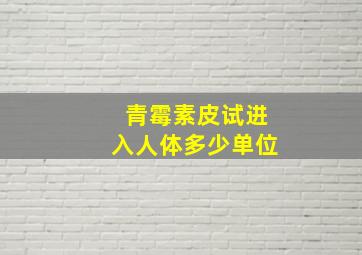 青霉素皮试进入人体多少单位