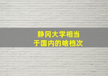 静冈大学相当于国内的啥档次