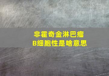 非霍奇金淋巴瘤B细胞性是啥意思