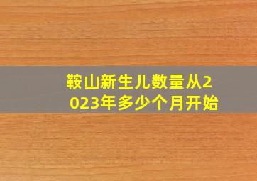 鞍山新生儿数量从2023年多少个月开始